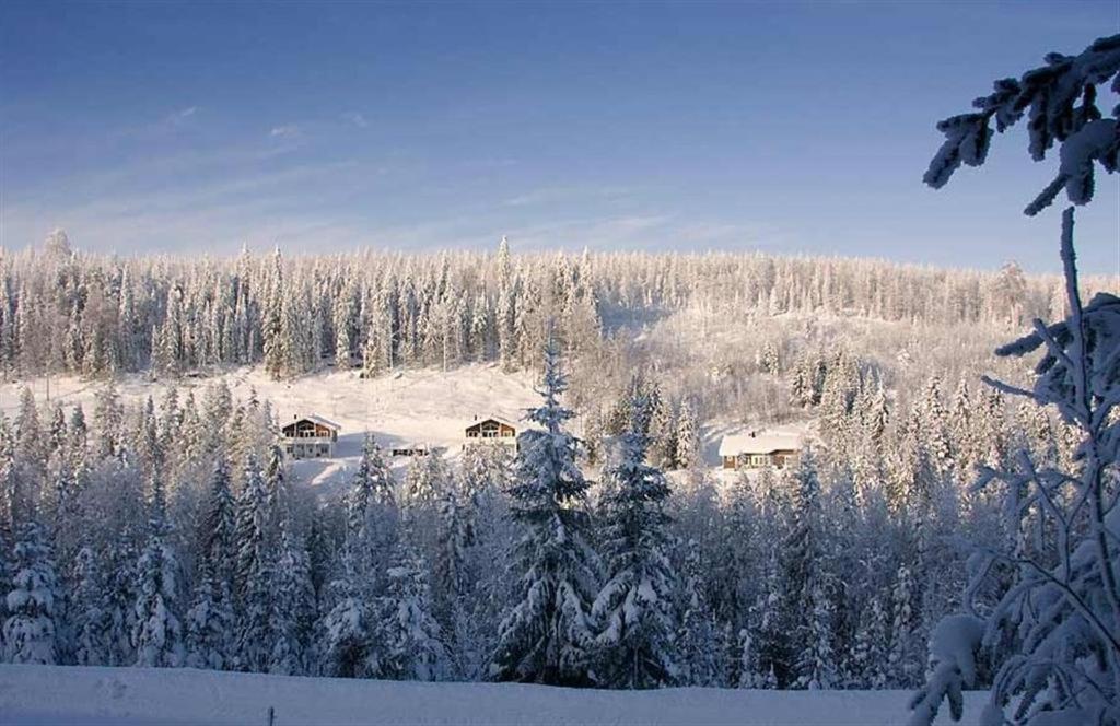 Karkutahko Villas Ruokonen Extérieur photo