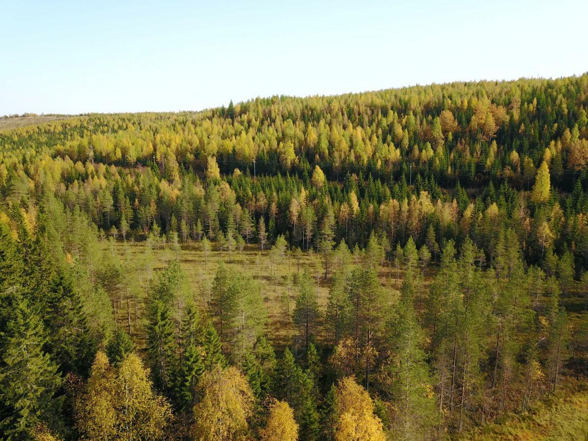 Karkutahko Villas Ruokonen Extérieur photo
